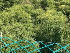 -陶祖圣境风景区
