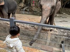 -深圳野生动物园