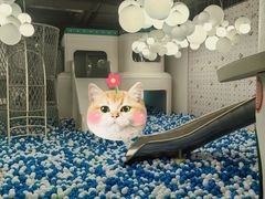 -涨巢·潮玩水疗局