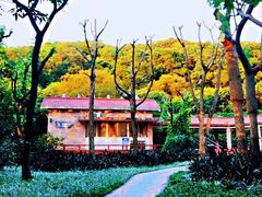 -云溪植物园