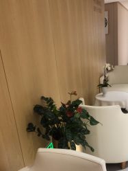 -广东韩妃整形外科医院