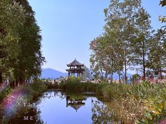 -东湖落雁景区