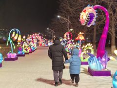 -沈阳奥体冰雪嘉年华