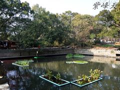 景点-普陀山风景名胜区-法雨禅寺
