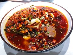 -雲蜀龙阁·金牌水煮鱼(方庄店)