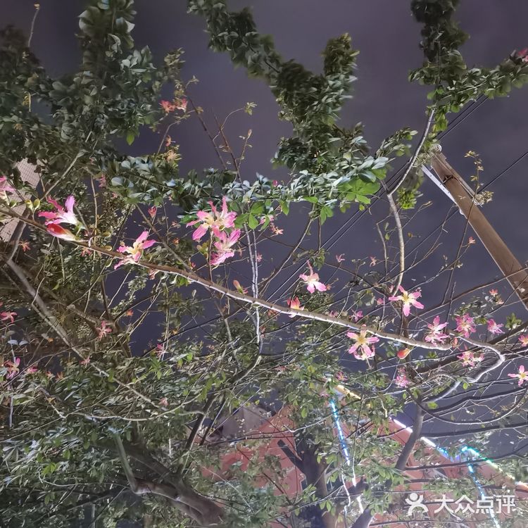 美丽的北海，让人流连忘返