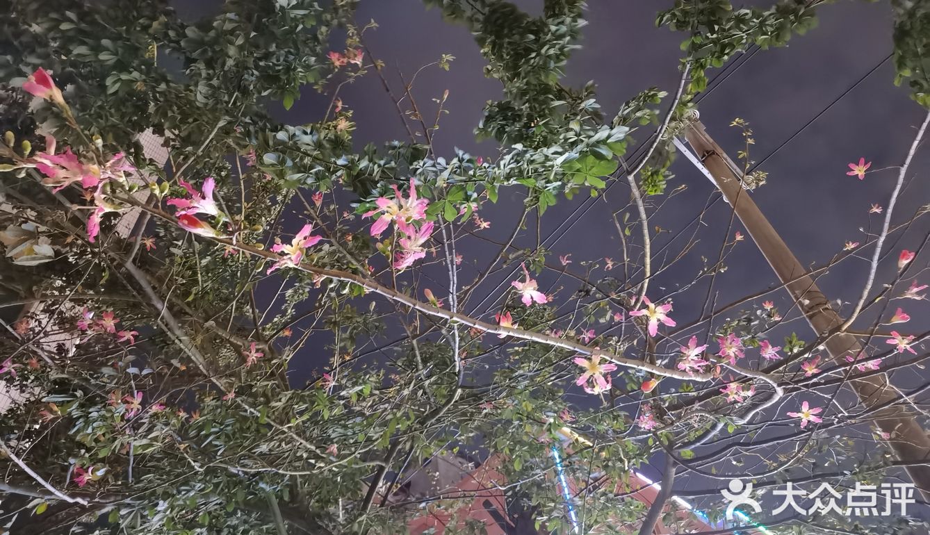 美丽的北海,让人流连忘返