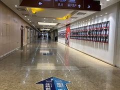 -浙江大学医学院附属邵逸夫医院(钱塘院区)