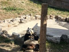 -石家庄市动物园