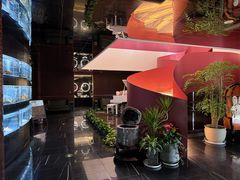 -鱼翅楼·津派砂锅鱼翅(水上公园店)
