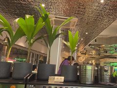 -探窝·竹笙椰子鸡(杨箕店)