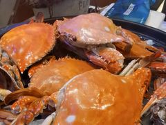 -半岛听涛蒸汽海鲜自助(K11店)