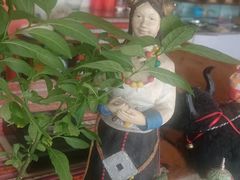 -卡万金特色藏餐