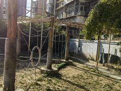 -YoKID托育园(酒仙桥园)