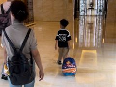 -廊坊固安福朋喜来登酒店