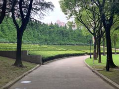 -上海市龙华烈士陵园