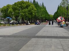 -君悦会影院足道·SPA•推拿(江桥店)