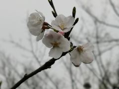 -广富林郊野公园