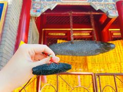 -潭柘寺景区