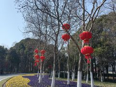 -狼山风景名胜区