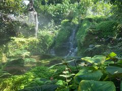 -Chom Cafe and Restaurant