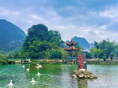 -靖西鹅泉风景区