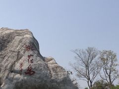-桃花岛景观公园
