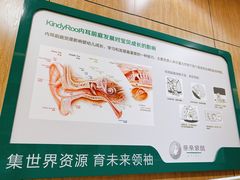 -亲亲袋鼠托育早教·思维专注力·棕熊英语(鼓楼恒力城店)