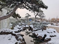 -罗红摄影艺术馆