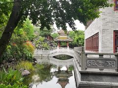 -顺峰山公园