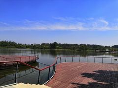 -东郊湿地公园