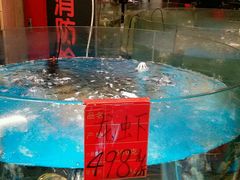 -蓬川食府(金海道店)