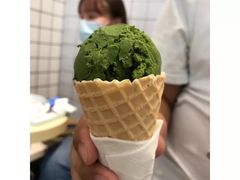 -王守财小山園
