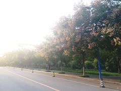 -西安外国语大学(长安校区)
