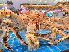 -聚福宝合苑食府(南头镇店)