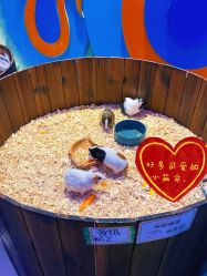 -宝燕乐园(闵行旗舰店)