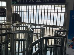 -武汉关码头(轮渡站)