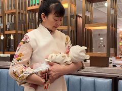 -田螺阿姨自营月嫂·育儿嫂(高新店)