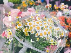 -宝鸡东道花鸟鱼虫市场(吉利花园商场店)