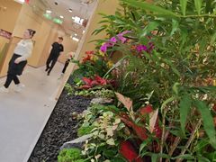 -海底捞火锅(赛格国际购物中心店)