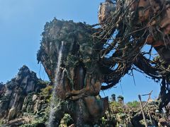 -奥兰多迪士尼动物王国乐园