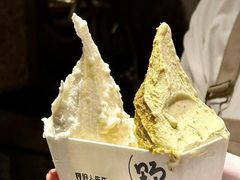 -野人先生Gelato(上海长宁龙之梦店)