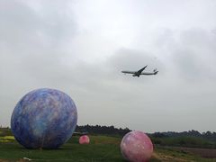 -空港花田景区