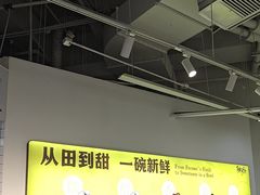 -鲜芋仙·芋圆·仙草(天津鲁能城店)