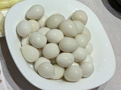 鹌鹑蛋-凯鸽火锅(华林新天地店)