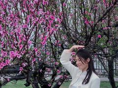 -西安青龙寺遗址景区