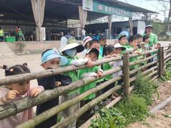 -宾果蒙特梭利托育儿童之家幼儿园(爱琴海店)