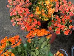 -循礼门鲜花花市(武汉循礼门店)