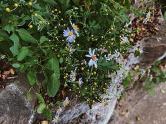 -苍岩山风景名胜区