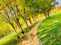 -北京雁栖湖国际会展中心